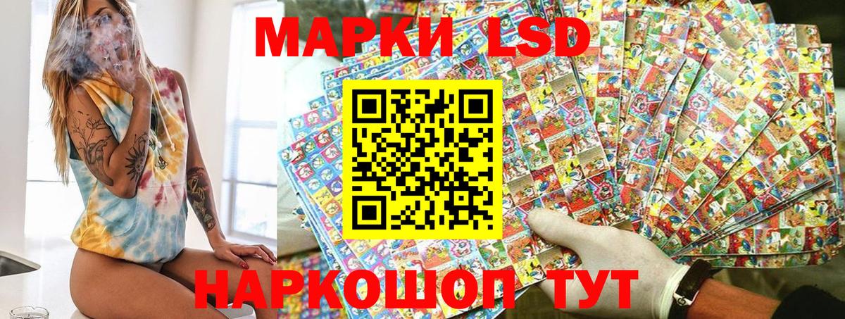 APVP Нефтекумск