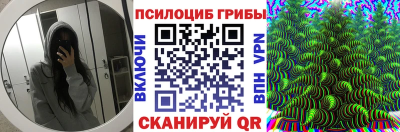 OMG как зайти  даркнет сайт  Нефтекумск  Псилоцибиновые грибы Psilocybe 