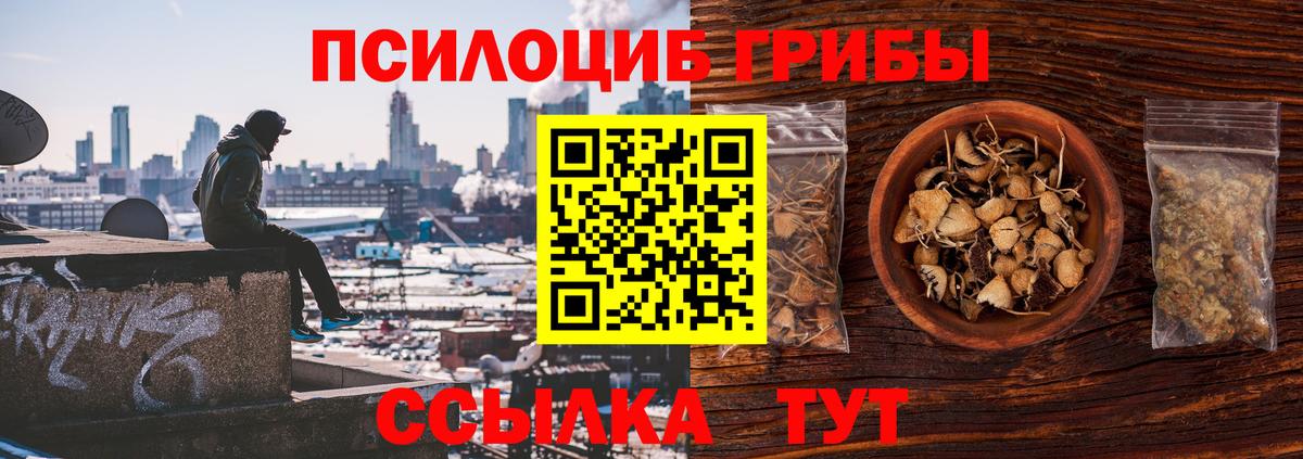 Псилоцибиновые грибы Magic Shrooms Нефтекумск