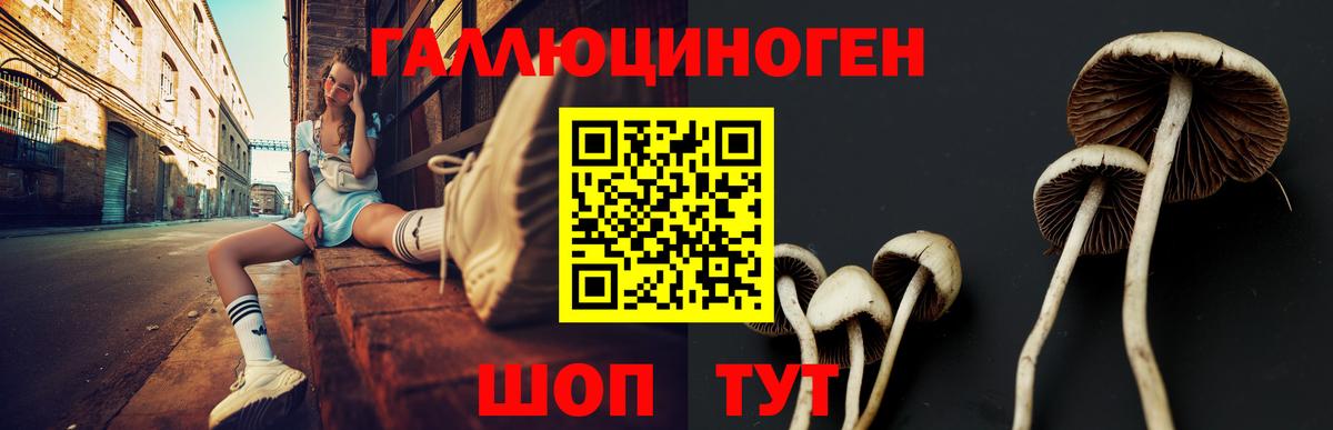 Псилоцибиновые грибы Magic Shrooms  Галлюциногенные грибы прущие грибы  Вход с VPN  Нефтекумск 