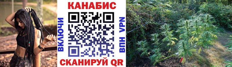 гидра как войти  что такое   Нефтекумск  Канабис индика 